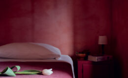 Cozy bedroom with a red wall, featuring a neatly made bed with white linens, a single white tulip resting on the bed, and a bedside table with a lamp and books.