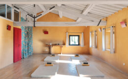 Spacious yoga studio with wooden flooring, large windows, and mats arranged for practice, featuring warm orange walls and natural light.