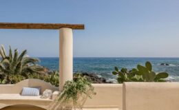 Coastal view from a terrace featuring a modern architectural design, with palm trees and succulents in the foreground, overlooking the serene ocean and clear blue sky.