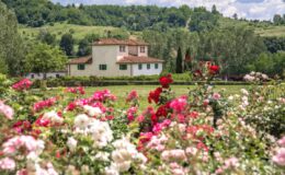Beautiful countryside house surrounded by vibrant rose gardens, with lush green hills in the background under a clear blue sky.