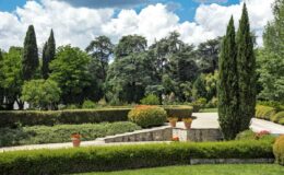 Lush green landscaped garden featuring neatly trimmed hedges, decorative potted plants, and tall cypress trees under a partly cloudy sky. Ideal for outdoor relaxation and nature walks.