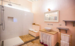 Modern bathroom with a walk-in shower, pink walls, a wooden vanity with a sink, and decorative shelving. The space features natural lighting and a minimalist design.