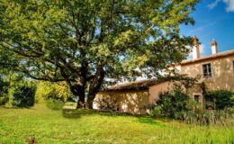  | Only on SopranoVillas