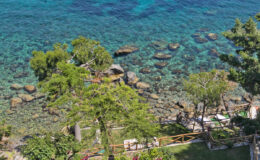 Aerial view of a clear blue sea with rocky shoreline, surrounded by lush green trees and a well-maintained garden, showcasing a tranquil coastal landscape.