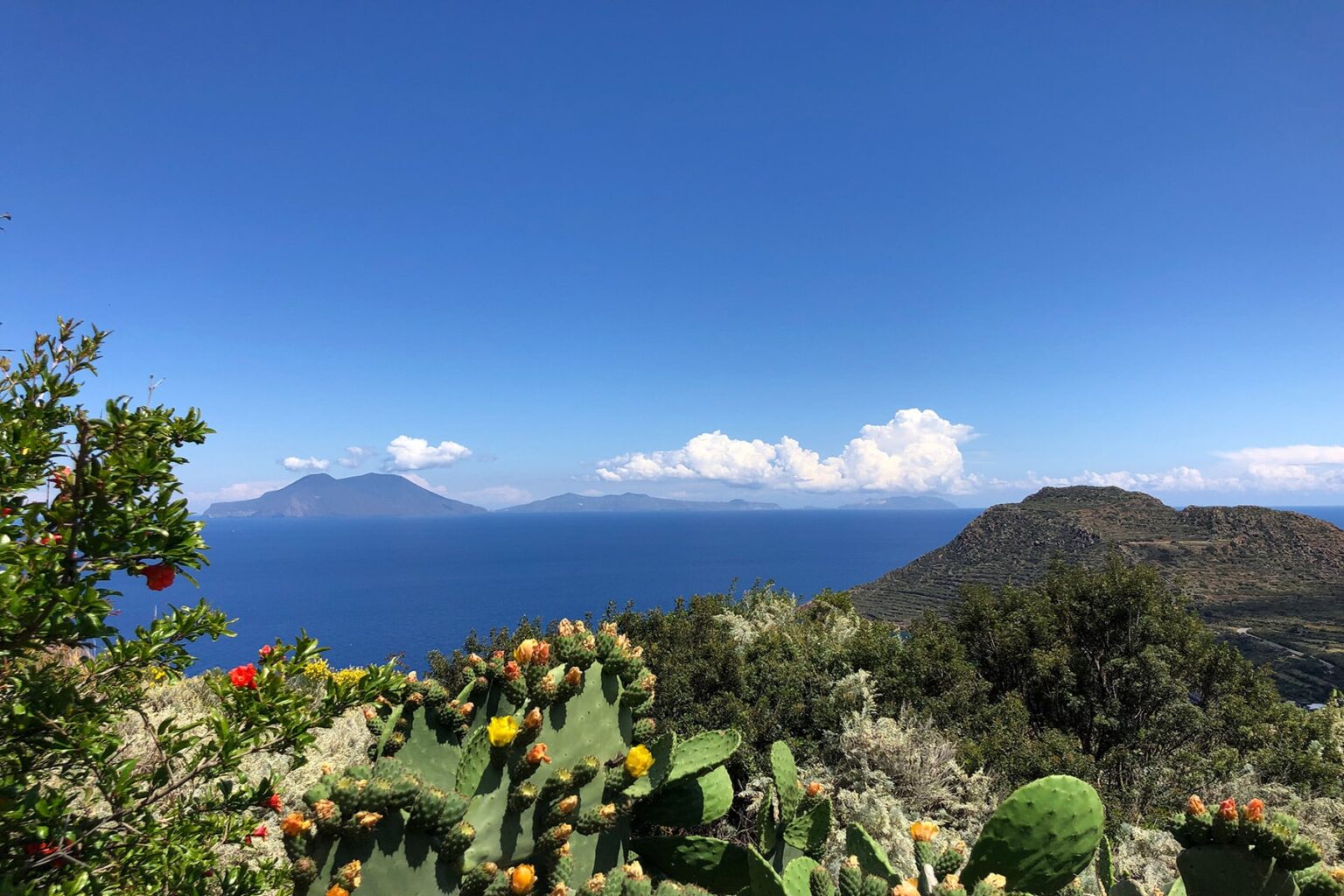 Scenic view of Lake Averno with volcanic mountains in the background, featuring lush green vegetation and cacti in the foreground under a clear blue sky. | Only on SopranoVillas