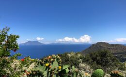 Scenic view of Lake Averno with volcanic mountains in the background, featuring lush green vegetation and cacti in the foreground under a clear blue sky.