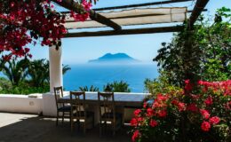 Scenic outdoor dining area with a view of a distant island, surrounded by vibrant bougainvillea flowers and lush greenery, ideal for relaxation and enjoying nature.