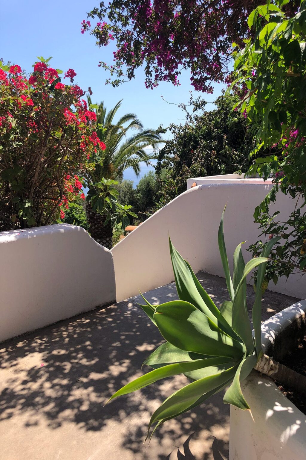 Filicudi Panoramic Villa | Sicily image 26 | Only on SopranoVillas