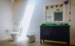 Modern bathroom interior featuring a toilet, bidet, and a stylish dark wood vanity with a green sink. Natural light streams through a large window, enhancing the minimalist design.