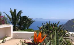 Scenic view of a tropical landscape featuring vibrant orange bird of paradise flowers, lush greenery, and a serene ocean backdrop under a clear blue sky. Ideal for showcasing natural beauty and coastal relaxation.