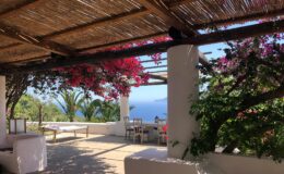 Scenic view from a terrace featuring vibrant bougainvillea flowers, a spacious outdoor seating area, and a stunning ocean backdrop, perfect for relaxation and enjoying nature.