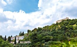 Scenic view of a hillside featuring a historic castle on top, surrounded by lush greenery and residential buildings below, under a partially cloudy sky.