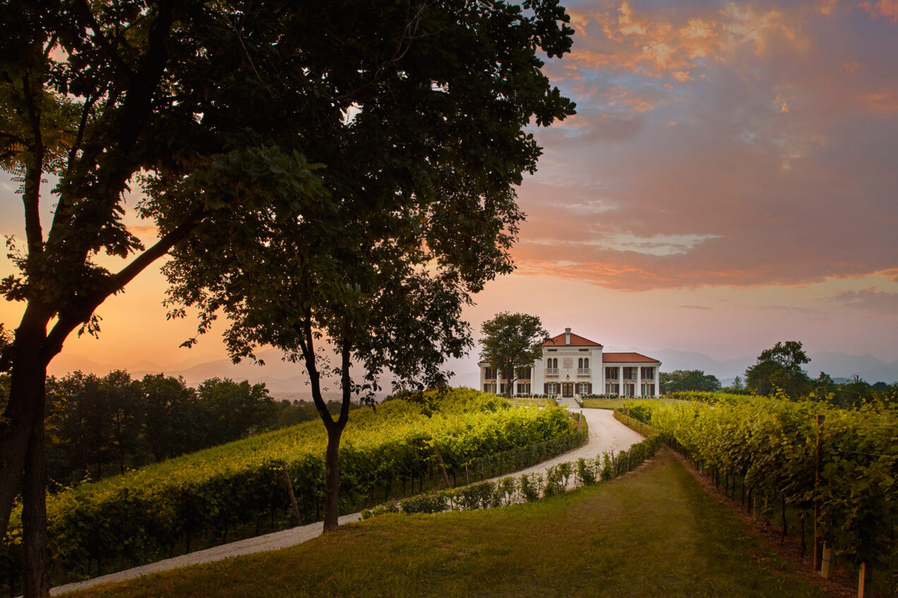 Scenic view of a vineyard estate with a white house surrounded by lush greenery and a sunset sky, highlighting the beauty of wine country. | Only on SopranoVillas