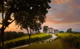 Scenic view of a vineyard estate with a white house surrounded by lush greenery and a sunset sky, highlighting the beauty of wine country.