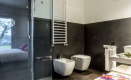 Modern bathroom design featuring a glass shower, bidet, and sleek towel radiator. The minimalist decor includes dark wall tiles and a view of a bedroom through the glass wall.