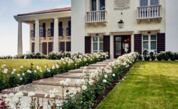 Elegant modern mansion with a landscaped garden featuring a pathway lined with white roses, showcasing classic architectural elements and a welcoming entrance.