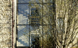 Modern glass staircase visible through a textured stone building facade, framed by a leafy tree.