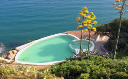 A stunning oceanfront swimming pool surrounded by lush greenery and vibrant yellow flowers, offering a serene view of the calm blue sea.