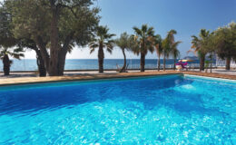 Scenic view of a sparkling blue swimming pool surrounded by palm trees, with a serene ocean and clear blue sky in the background, ideal for a tropical vacation setting.
