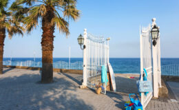 Beach entrance with palm trees and ocean view, featuring white gates and surfboards, ideal for summer vacations.