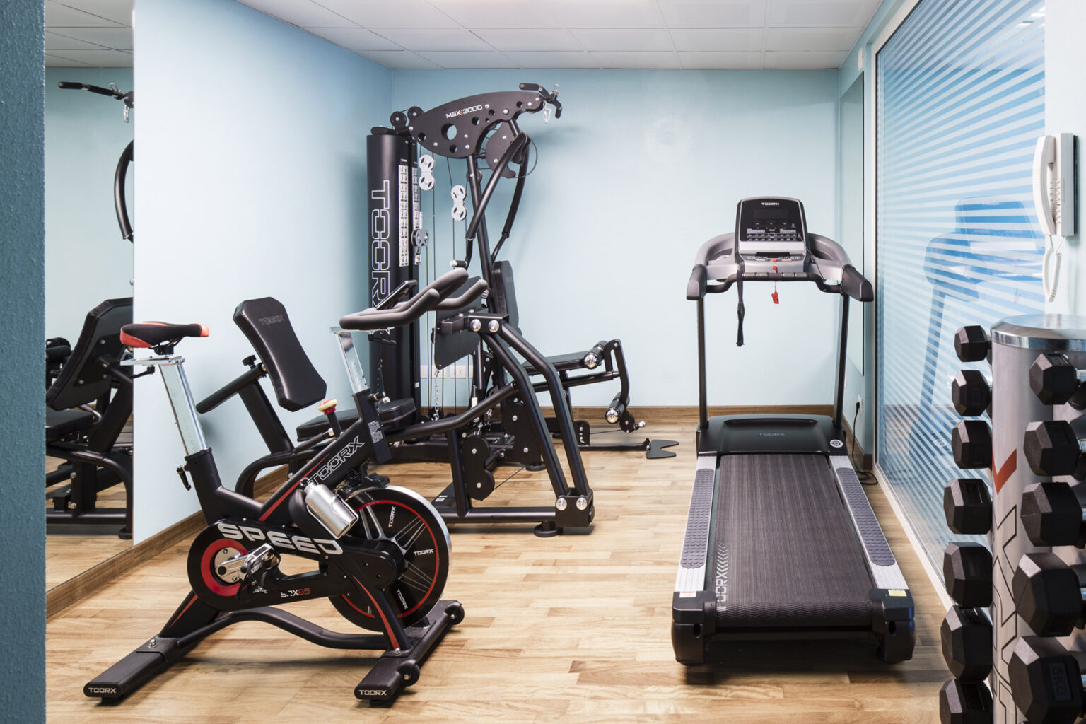 Home gym interior featuring a treadmill, stationary bike, multi-gym machine, and free weights on a wooden floor with blue walls. | Only on SopranoVillas