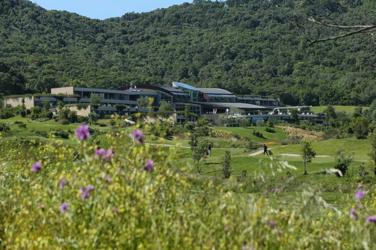 Modern building set against a lush green hillside, surrounded by wildflowers and landscaped gardens, showcasing a blend of nature and architecture. | Only on SopranoVillas