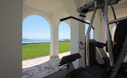 Home gym with a view of the ocean, featuring exercise equipment framed by elegant arches and lush green grass outside.