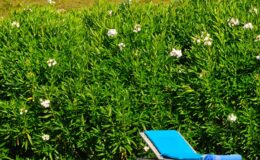  | Only on SopranoVillas