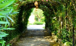  | Only on SopranoVillas