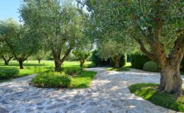  | Only on SopranoVillas