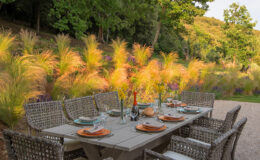 Outdoor dining setup featuring a rustic wooden table surrounded by woven chairs, elegantly arranged with plates, glasses, and a centerpiece of flowers, set against a backdrop of vibrant ornamental grasses and trees.
