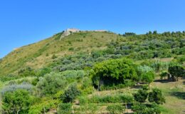  | Only on SopranoVillas