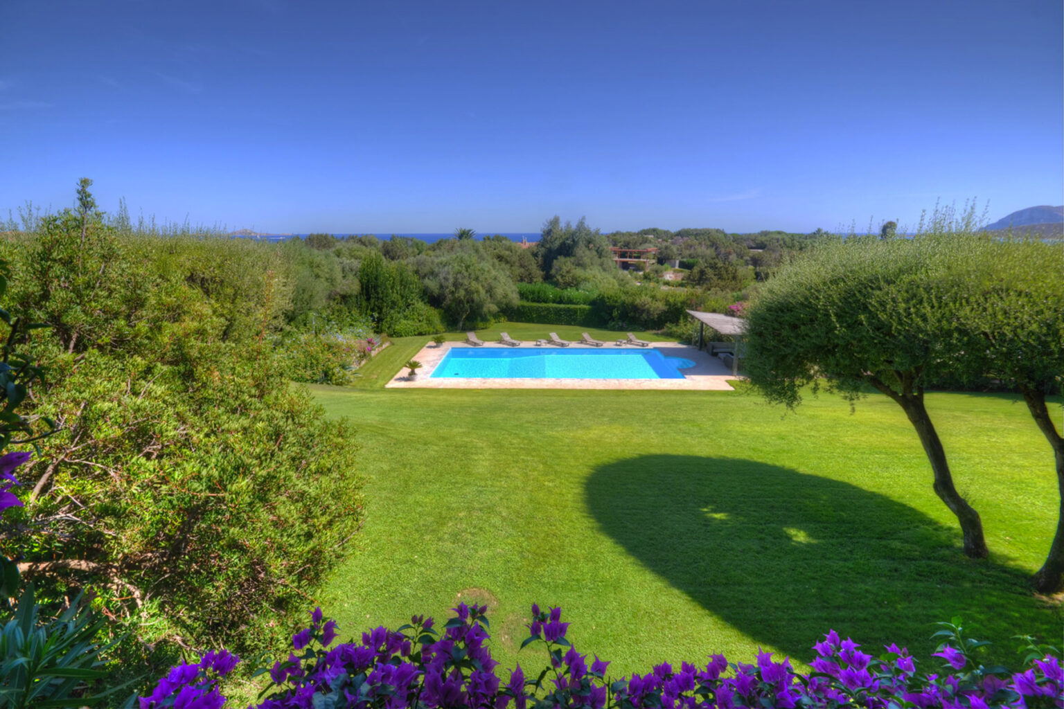 Scenic view of a lush green garden featuring a sparkling blue swimming pool, surrounded by olive trees and vibrant flowers under a clear blue sky. Ideal for relaxation and outdoor activities. | Only on SopranoVillas