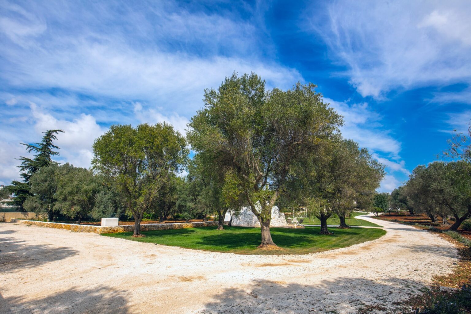 Scenic view of a winding pathway surrounded by lush olive trees under a bright blue sky, showcasing a serene landscape ideal for outdoor activities and relaxation. | Only on SopranoVillas