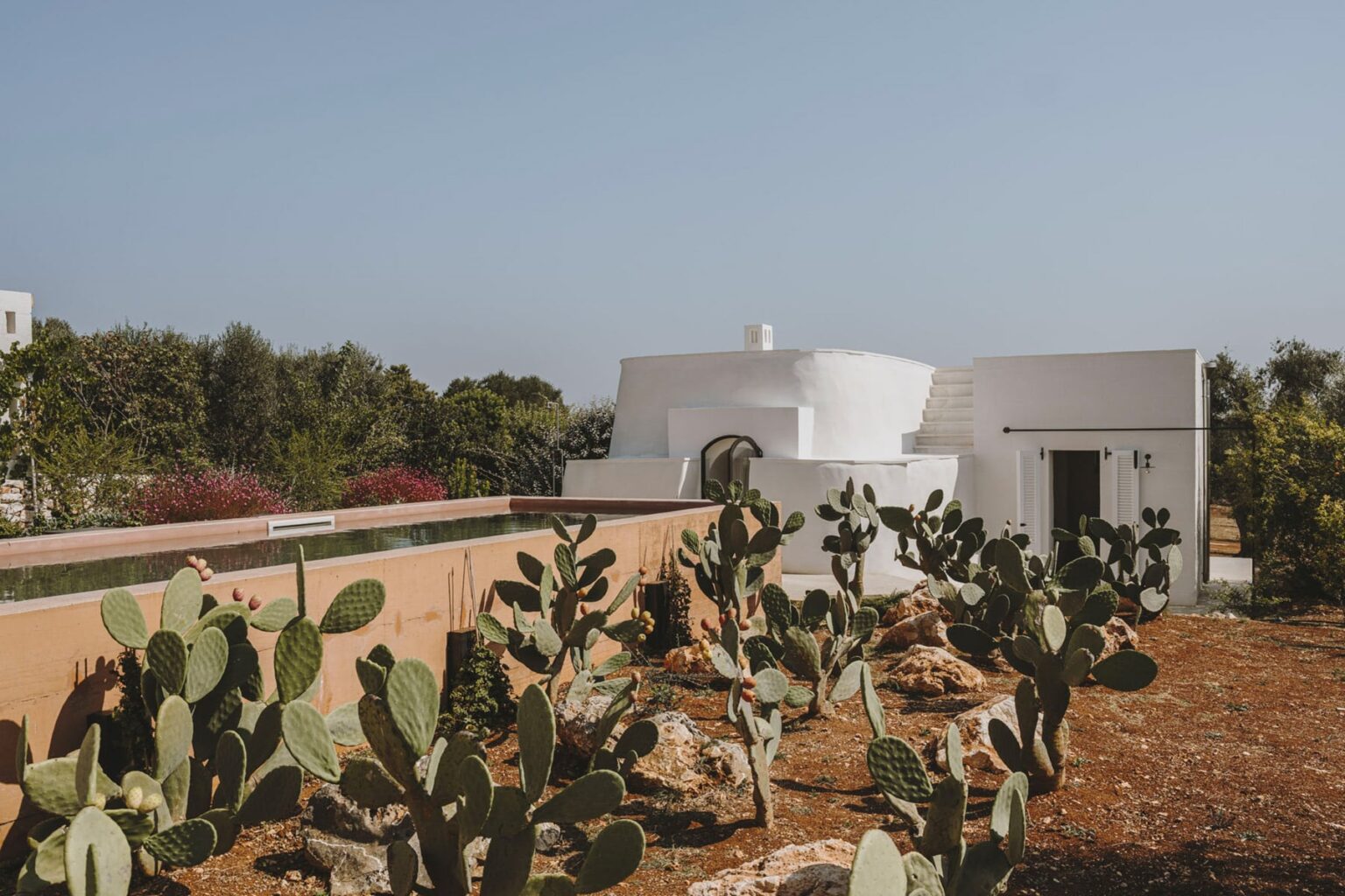 Modern white house surrounded by cacti and lush greenery under a clear blue sky. Ideal for showcasing desert landscaping and contemporary architecture. | Only on SopranoVillas