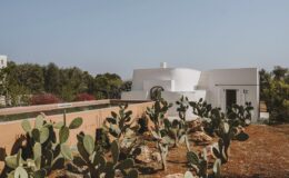 Modern white house surrounded by cacti and lush greenery under a clear blue sky. Ideal for showcasing desert landscaping and contemporary architecture.