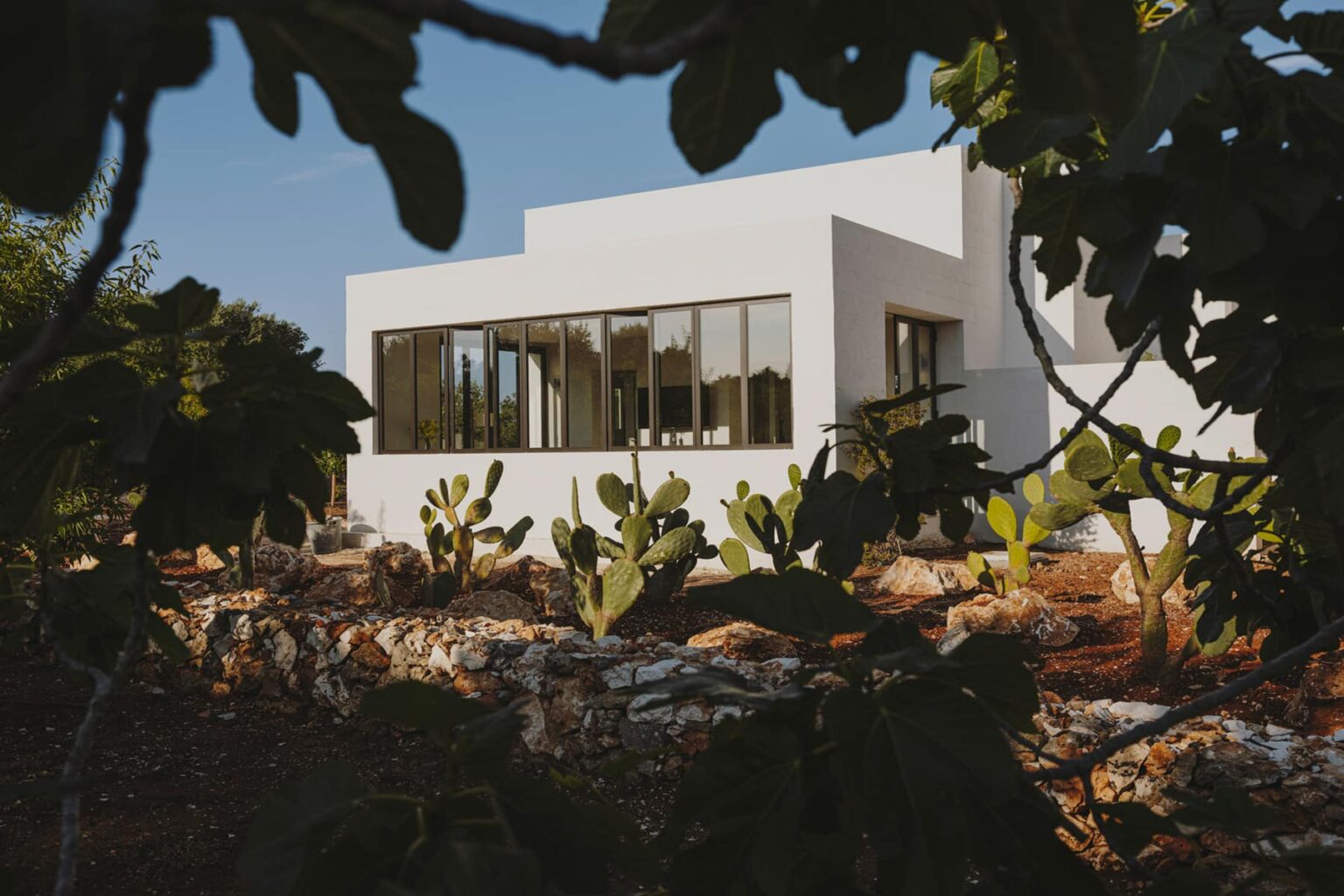 Modern white house surrounded by cacti and greenery, featuring large windows that enhance natural light. | Only on SopranoVillas