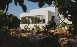 Modern white house surrounded by cacti and greenery, featuring large windows that enhance natural light.