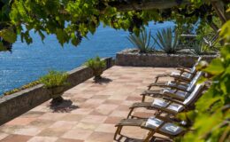 Outdoor patio with wooden lounge chairs overlooking a serene body of water, surrounded by lush greenery and decorative plants. Ideal for relaxation and enjoying scenic views.
