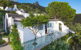 Charming white cottage surrounded by lush greenery and a scenic landscape, featuring a tree in the foreground and mountains in the background. Ideal for a tranquil getaway.