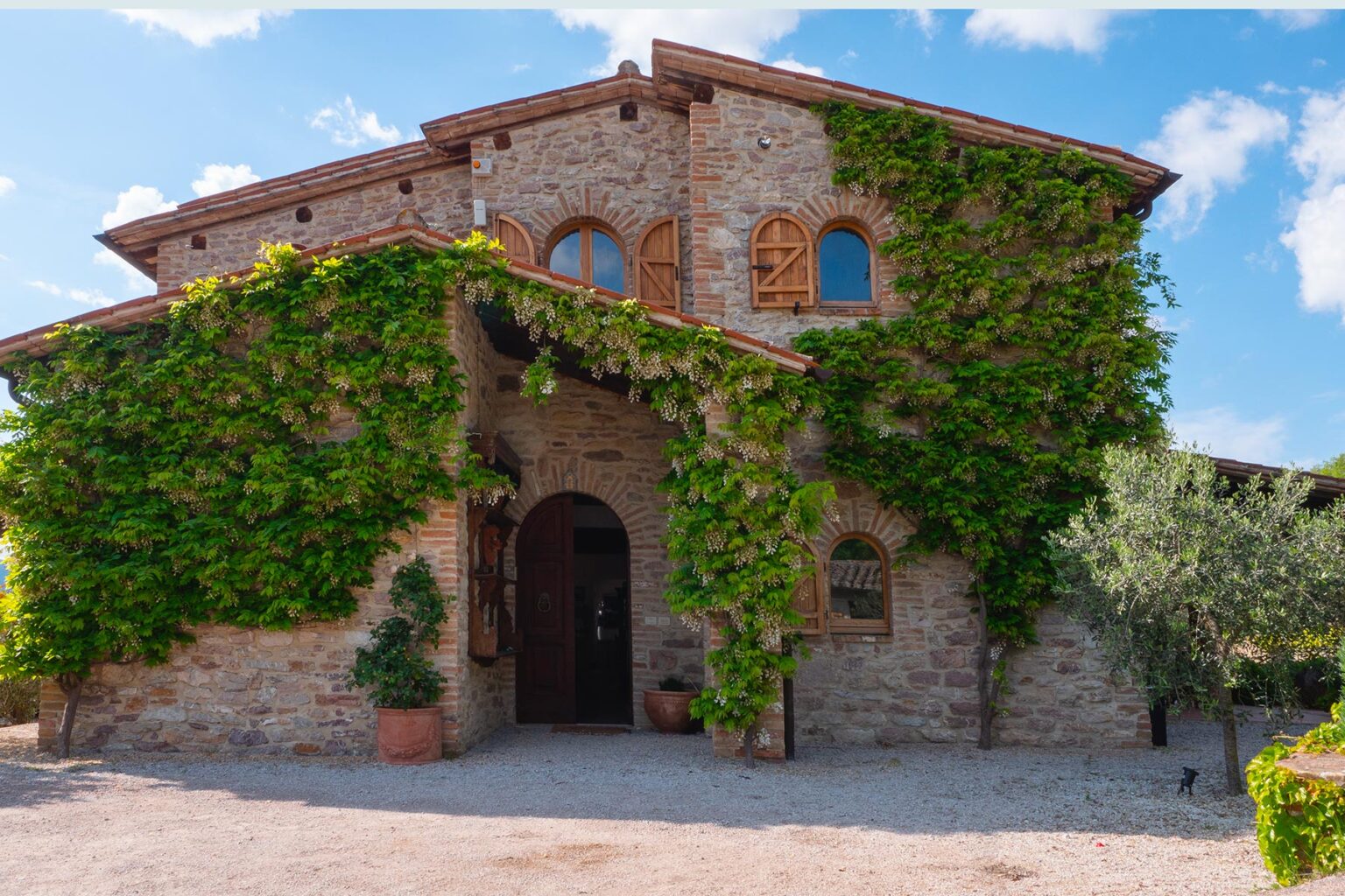 House of Olives | Umbria image 20 | Only on SopranoVillas