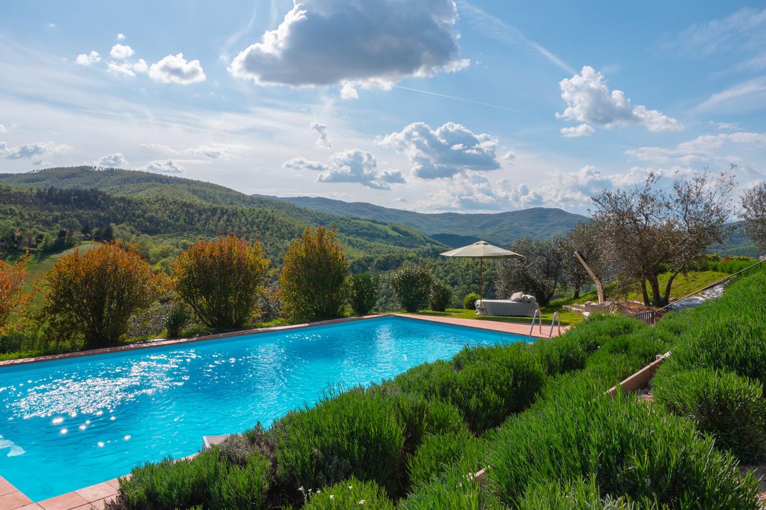 House of Olives | Umbria image 3 | Only on SopranoVillas