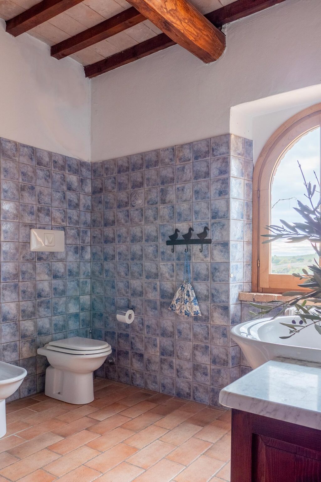 Bathroom interior featuring blue tiled walls, a window with a scenic view, a towel rack with decorative hooks, and a toilet. Natural light illuminates the space, enhancing its serene atmosphere. | Only on SopranoVillas