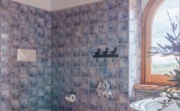 Bathroom interior featuring blue tiled walls, a window with a scenic view, a towel rack with decorative hooks, and a toilet. Natural light illuminates the space, enhancing its serene atmosphere.