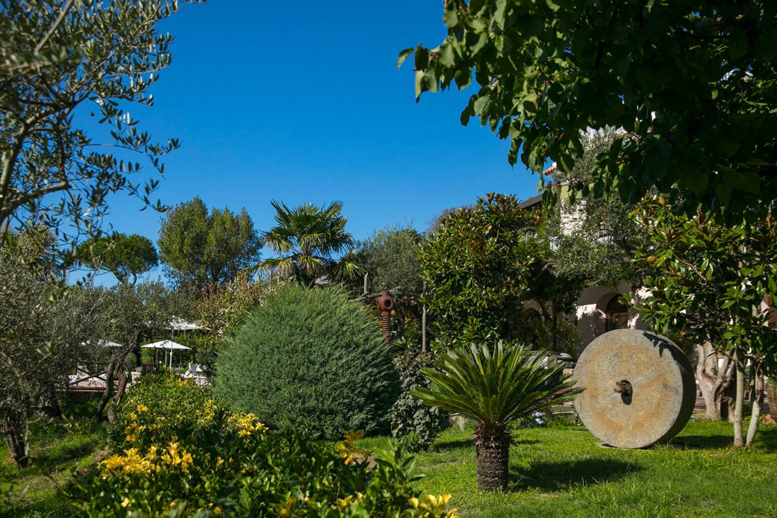 Lush garden with a variety of plants, including palm trees and flowering bushes, under a clear blue sky, featuring a large stone millstone as a decorative element. | Only on SopranoVillas