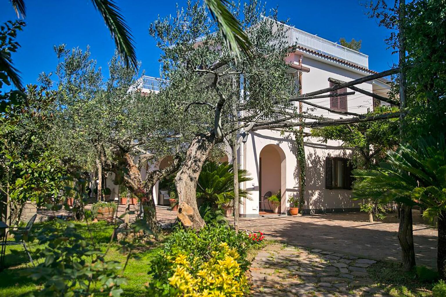 Charming villa surrounded by lush greenery and olive trees, featuring a stone pathway and vibrant flowers in the garden, under a clear blue sky. | Only on SopranoVillas