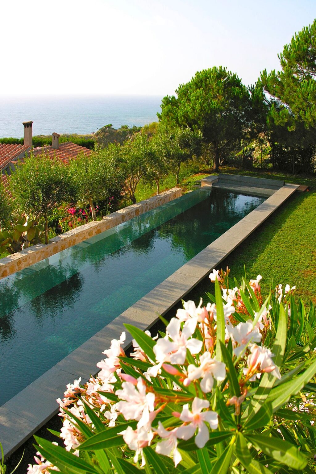 Modern infinity pool surrounded by lush greenery and vibrant flowers, set in a tranquil outdoor space. | Only on SopranoVillas