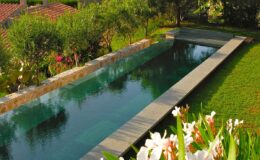 Modern infinity pool surrounded by lush greenery and vibrant flowers, set in a tranquil outdoor space.