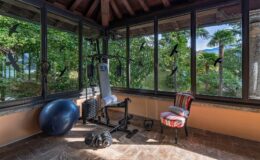 Home gym with exercise equipment, including a weight bench and stability ball, surrounded by large windows offering a view of greenery. The space features a rustic ceiling and a colorful chair, creating a bright and inviting workout environment.