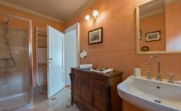 Modern bathroom featuring an orange accent wall, a spacious shower, a wooden vanity with decorative items, and a large mirror, providing a warm and inviting atmosphere.